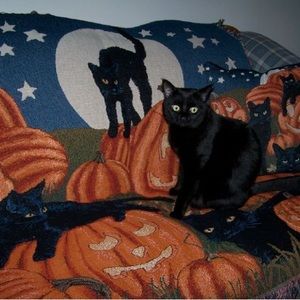 Meet your Posher, Kai